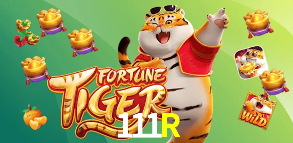 Coleção Premium de Slots 111R - NetEnt, Pragmatic Play, Evolution
